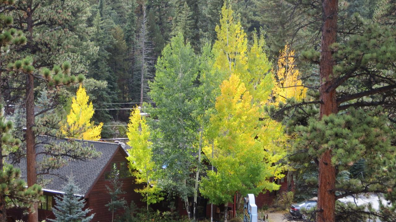 Villa Amberwood à Estes Park Extérieur photo